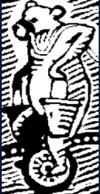 Vertikal Metaverse Team picture form 500K collection