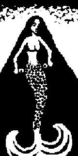 Vertikal Metaverse Team picture form 500K collection